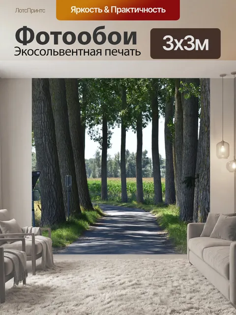 Фотообои Дорога