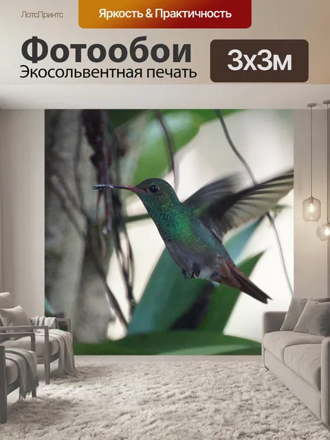 Фотообои Птица