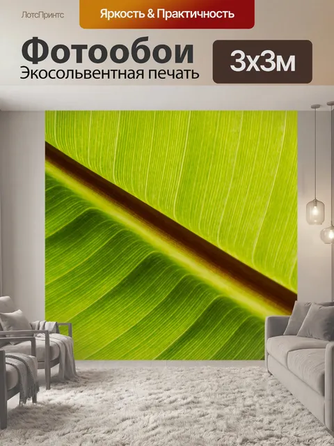 Фотообои Лист