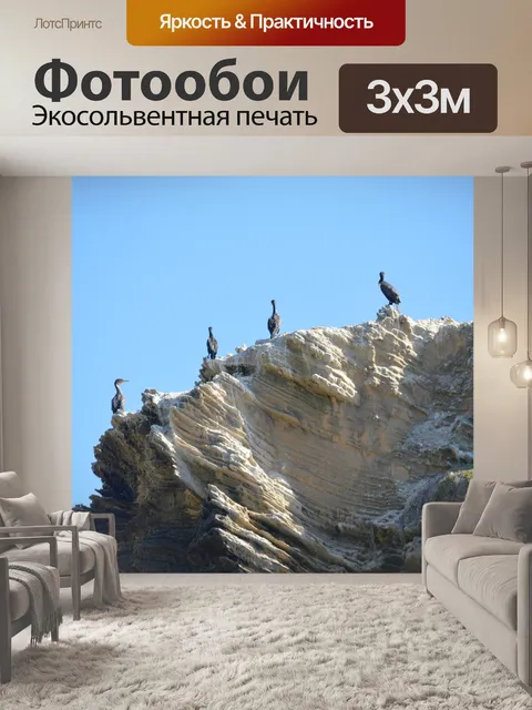 Фотообои Птицы