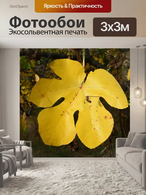 Фотообои Лист