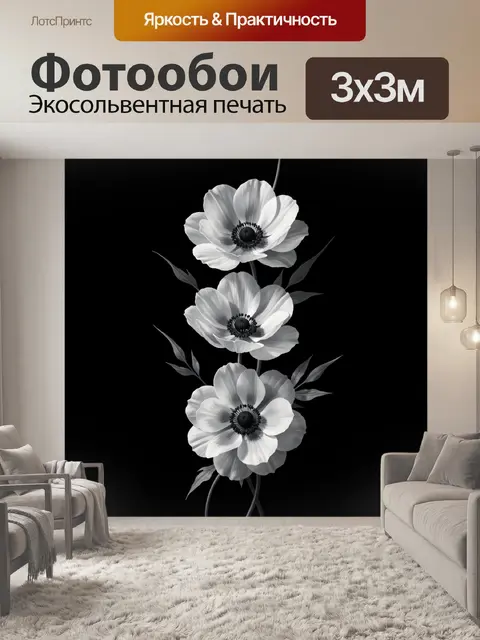 Фотообои Три белых анемона на черном фоне