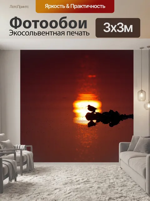 Фотообои Силуэт