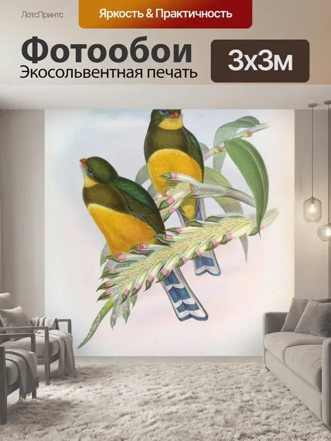 Фотообои Иллюстрация винтажного искусства птиц