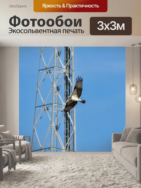 Фотообои Животное