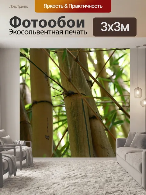 Фотообои Бамбук