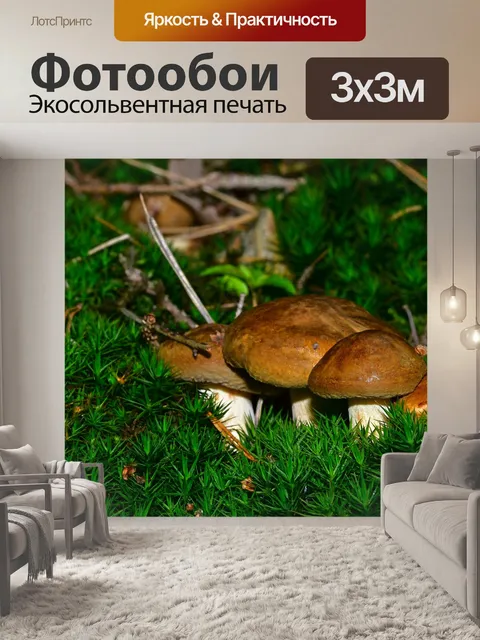Фотообои Лес