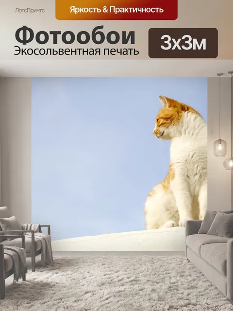 Фотообои Кошка