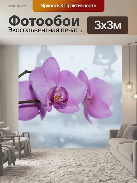 Фотообои Орхидея