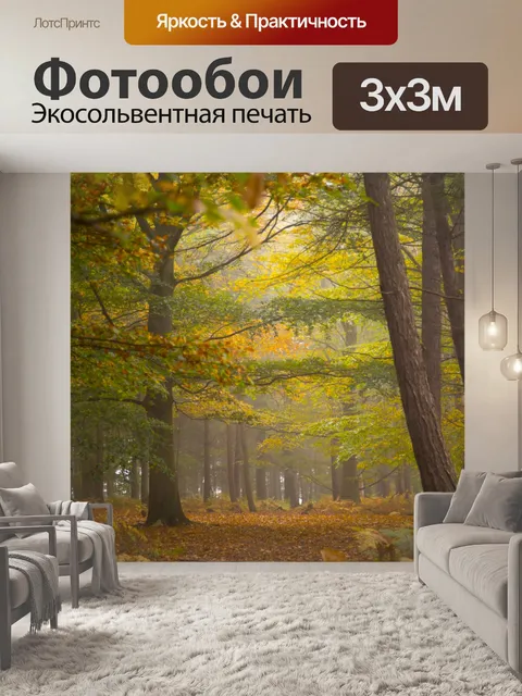 Фотообои Туманный лес