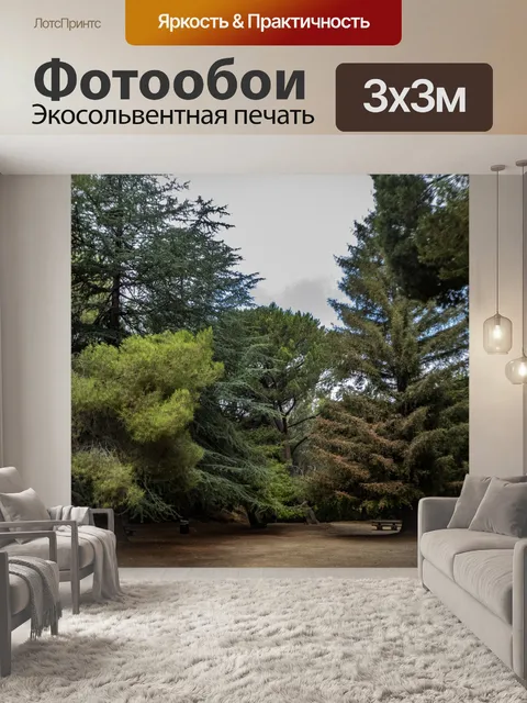 Фотообои Площадь пикника в деревьях