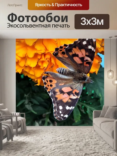 Фотообои Окрашенная леди Бабочка