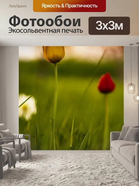 Фотообои Тюльпан