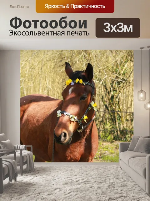 Фотообои Лошадь