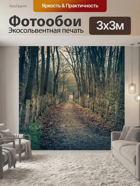 Фотообои Лес