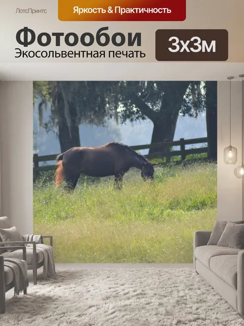 Фотообои Утренний туман