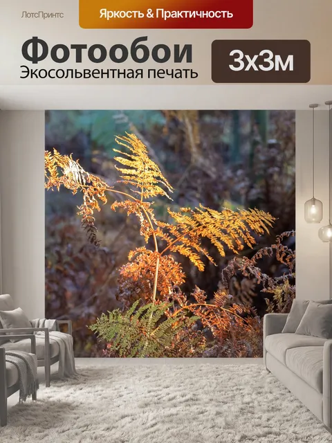 Фотообои Листья папоротника
