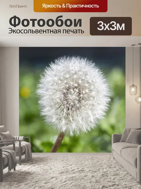 Фотообои Цветок