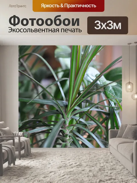 Фотообои Листья