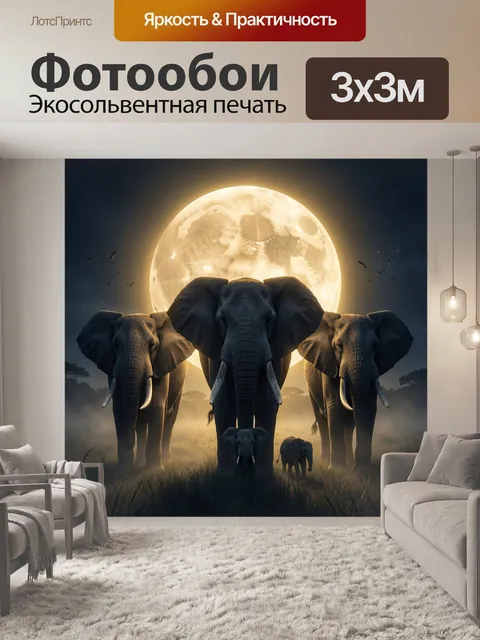 300 × 300 см · Экосольвентная печать