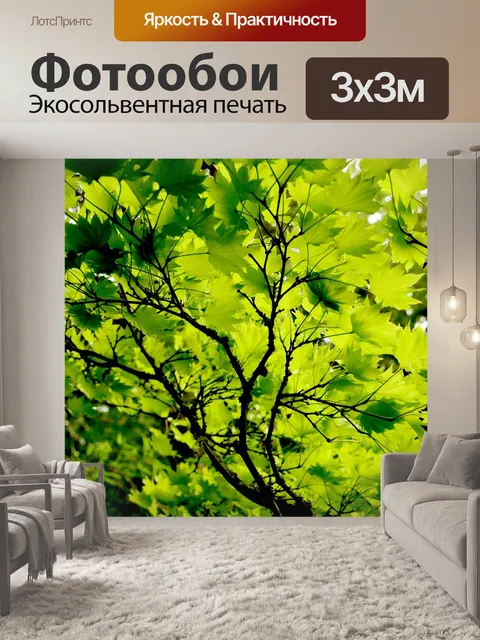 Фотообои Японский клен