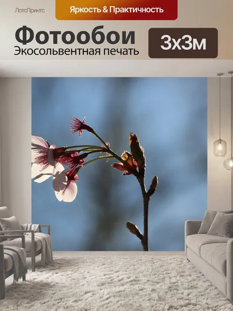 Фотообои Цветы
