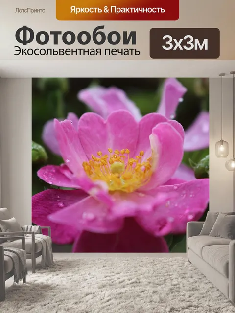 Фотообои Розовый