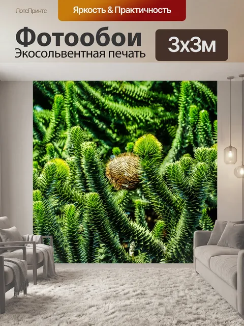 Фотообои Дерево