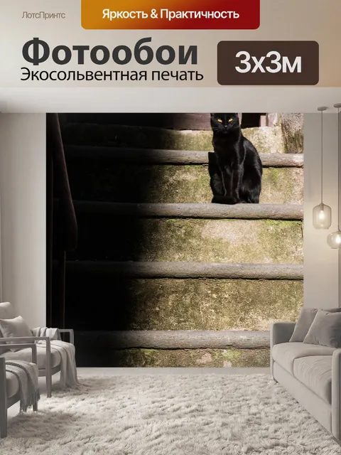 Фотообои Кошка