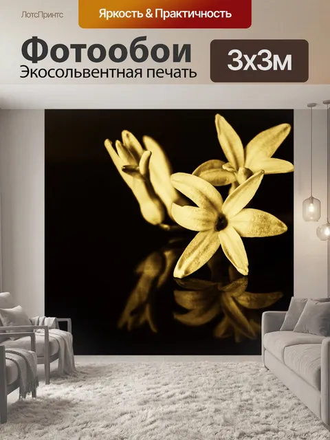 Фотообои Фотография