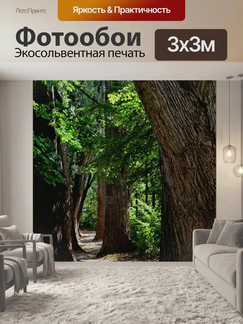 Фотообои Лес