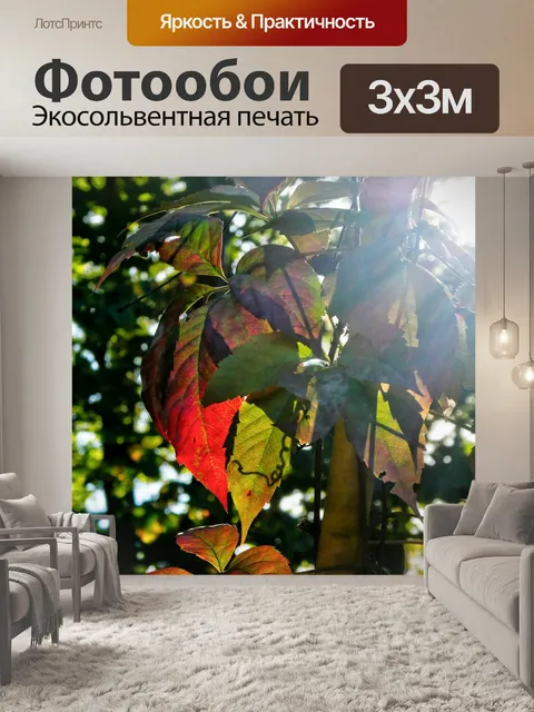 Фотообои Осенние листья