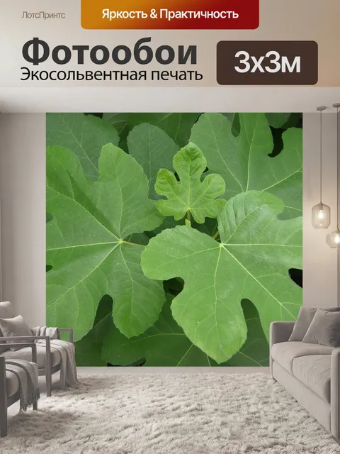 Фотообои Листья
