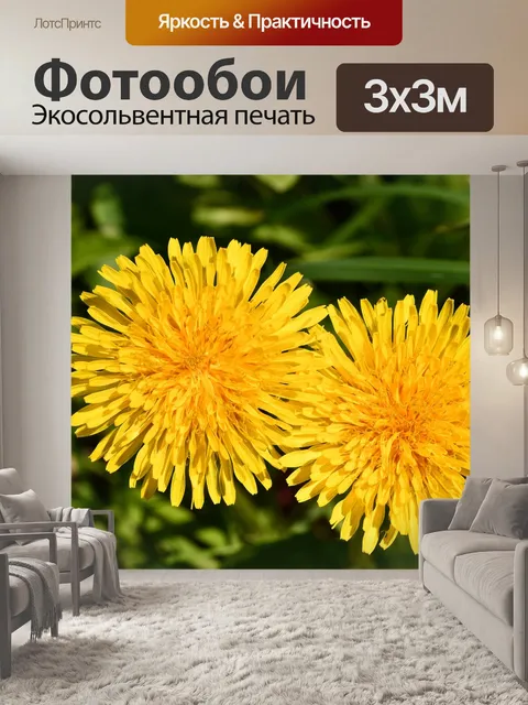 Фотообои Цветы