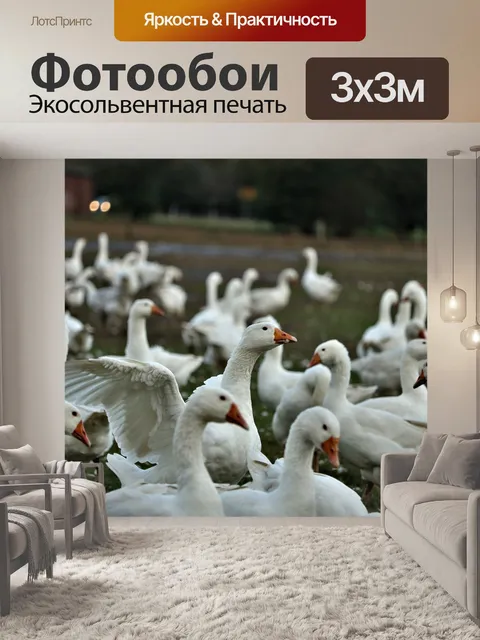 Фотообои Гуси