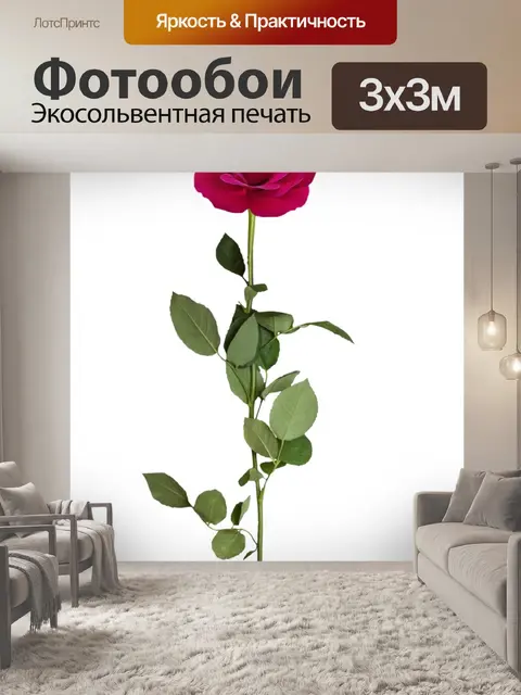 Фотообои Роза