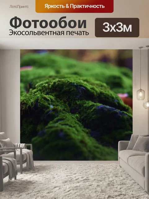 Фотообои Лес