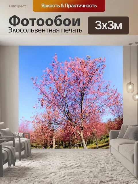 Фотообои Prunus cerasoides, дикая гималайская виш