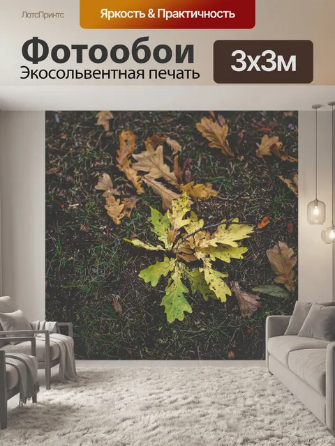Фотообои Листья