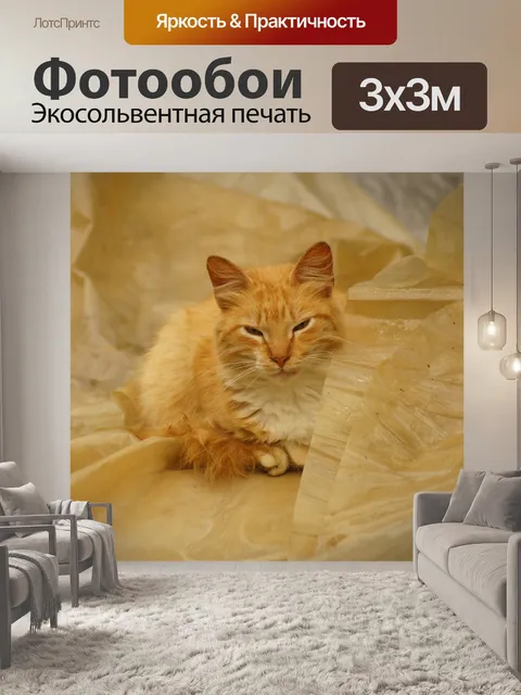 Фотообои Пейзаж