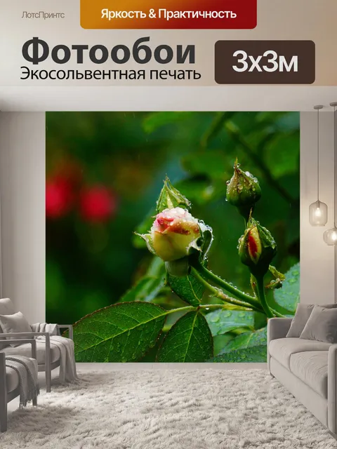 Фотообои Розовый