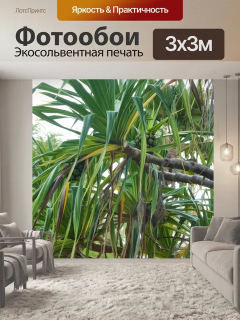Фотообои Ананасовое дерево