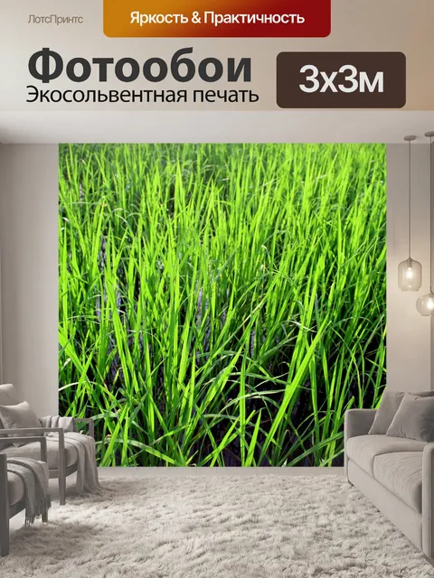 Фотообои Зеленое рисовое поле