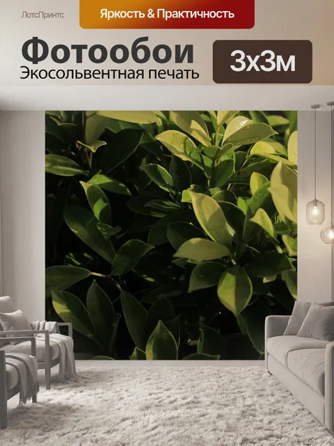 Фотообои Природа