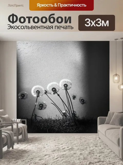 Фотообои одуванчики на фоне стены, овеянной тенью, создают ощущение уединения и гармонии