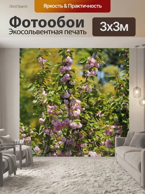 Фотообои Сакура