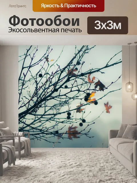 Фотообои Зима