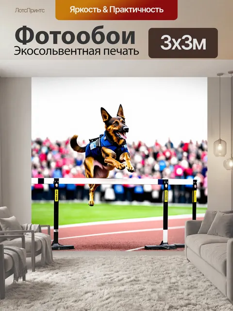 Фотообои милицейский пес в профессиональном спортивном костюме летит через барьер на соревнованиях по легкой атлетике