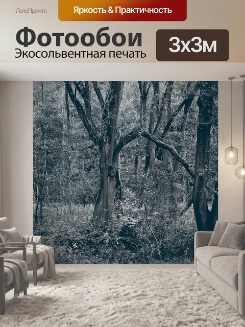 Фотообои Лес