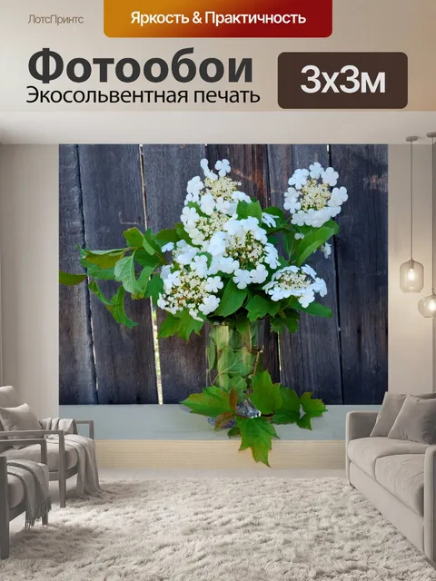 Фотообои цветы калины